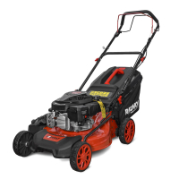 RMS46Q-V145S (01) 800х800