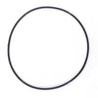 70119-V070210-0000